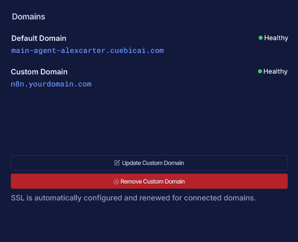 Cuebic AI instance domain configuration feature